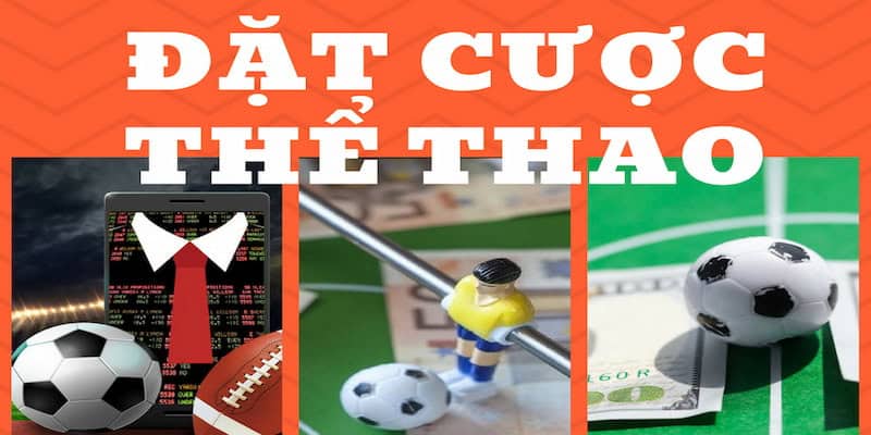 Thể Thao SUNWIN – Nền Tảng Giải Trí Đa Dạng & Hiện Đại